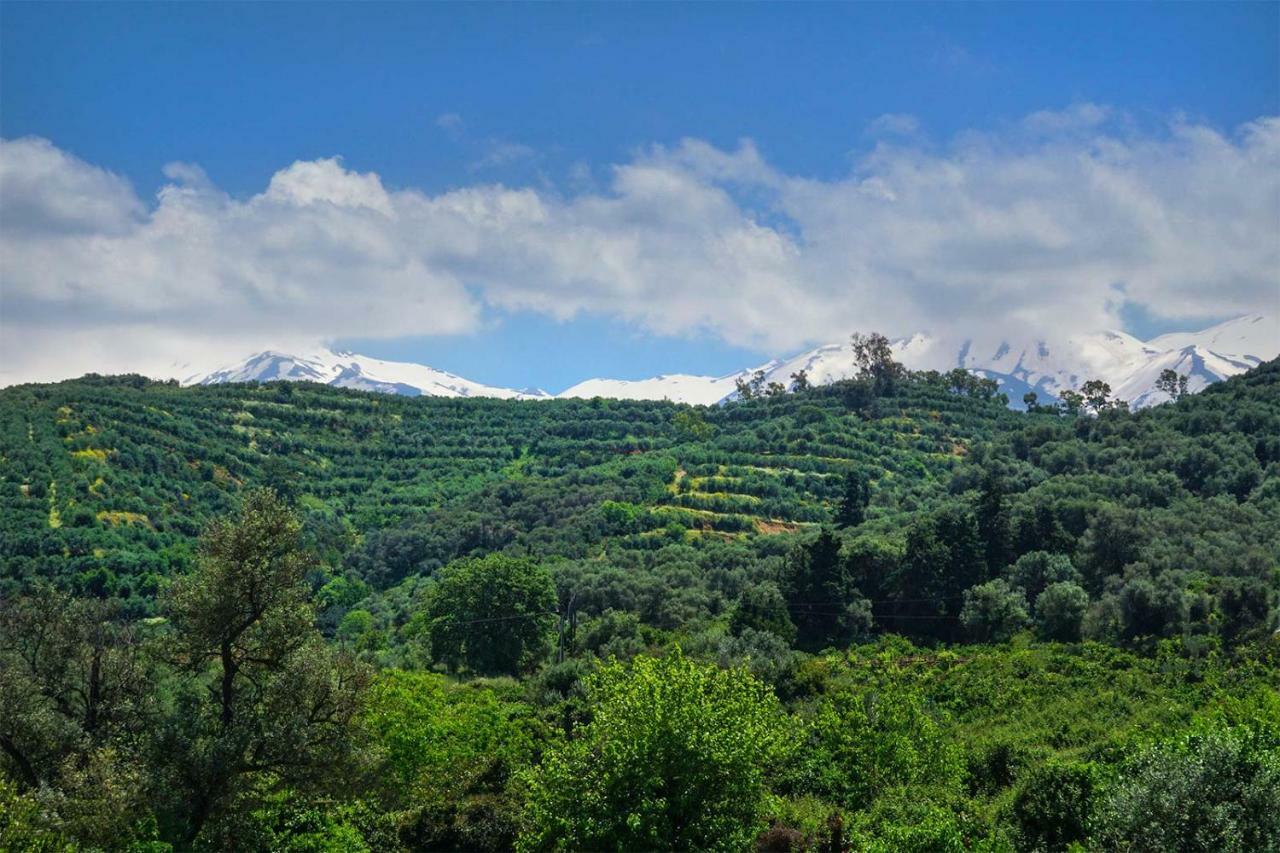Anthos Village Agia  外观 照片